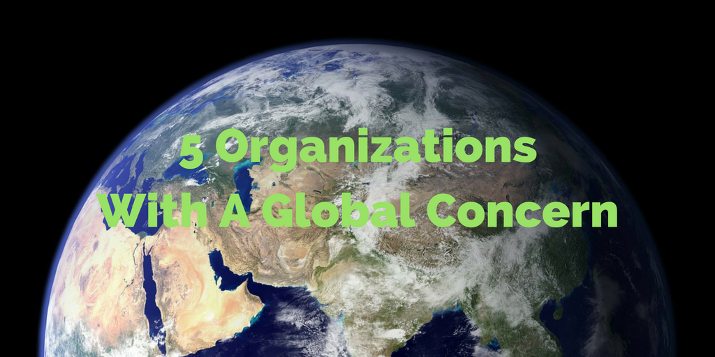 5 Organizations With A Global Concern