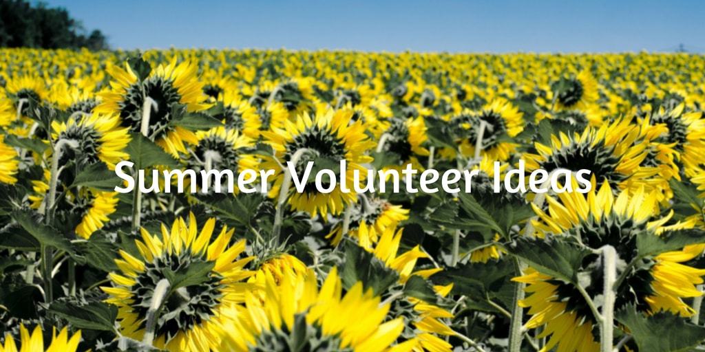 Summer Volunteer Ideas